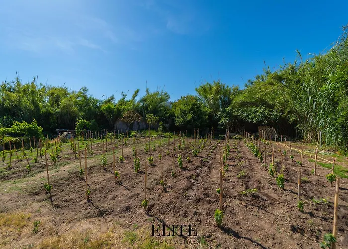 Sandalia House 2 Con Jacuzzi וילה אולביה